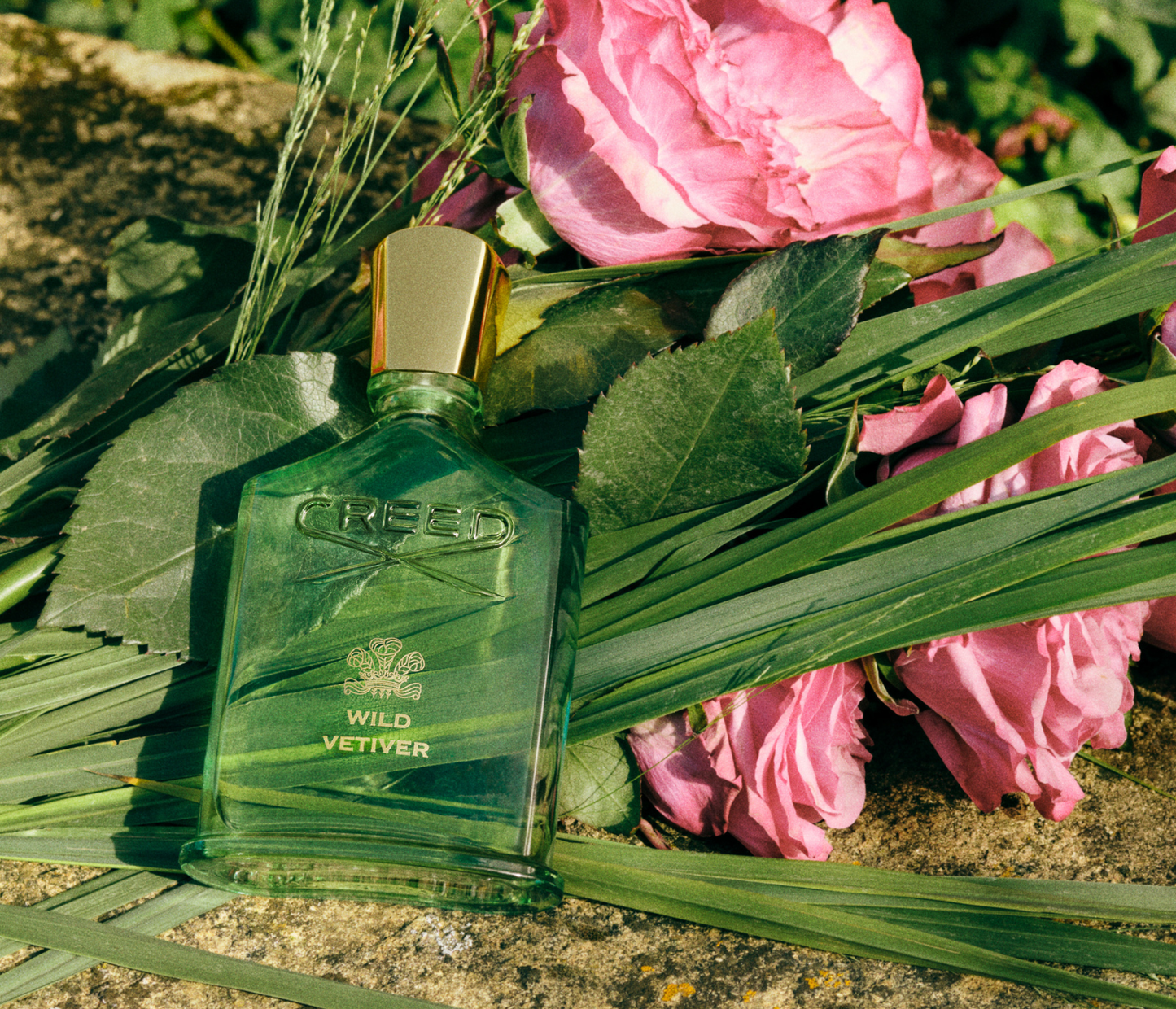 Wild Vetiver