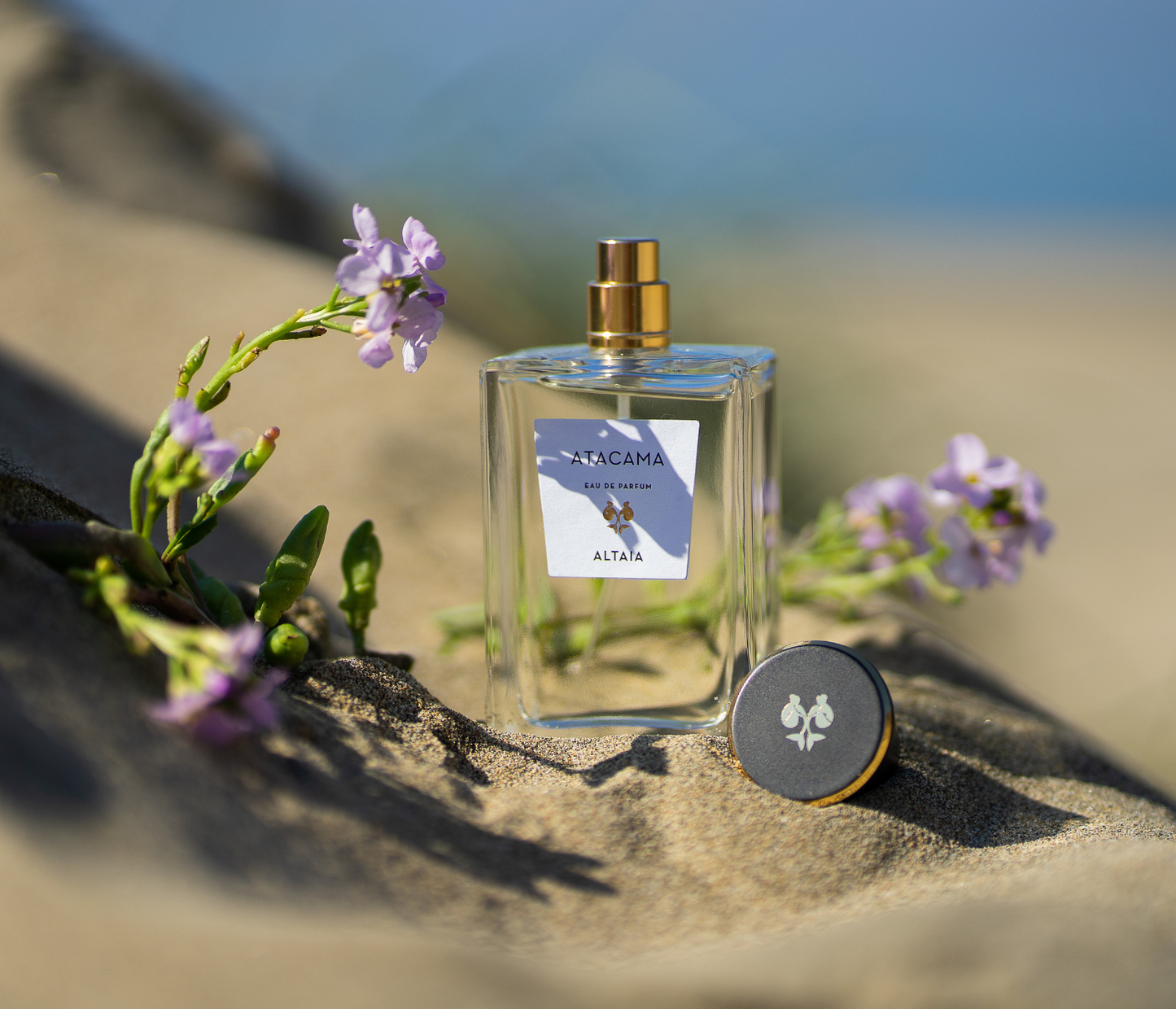 Altaia Atacama perfume bottle with purple flowers on sand.