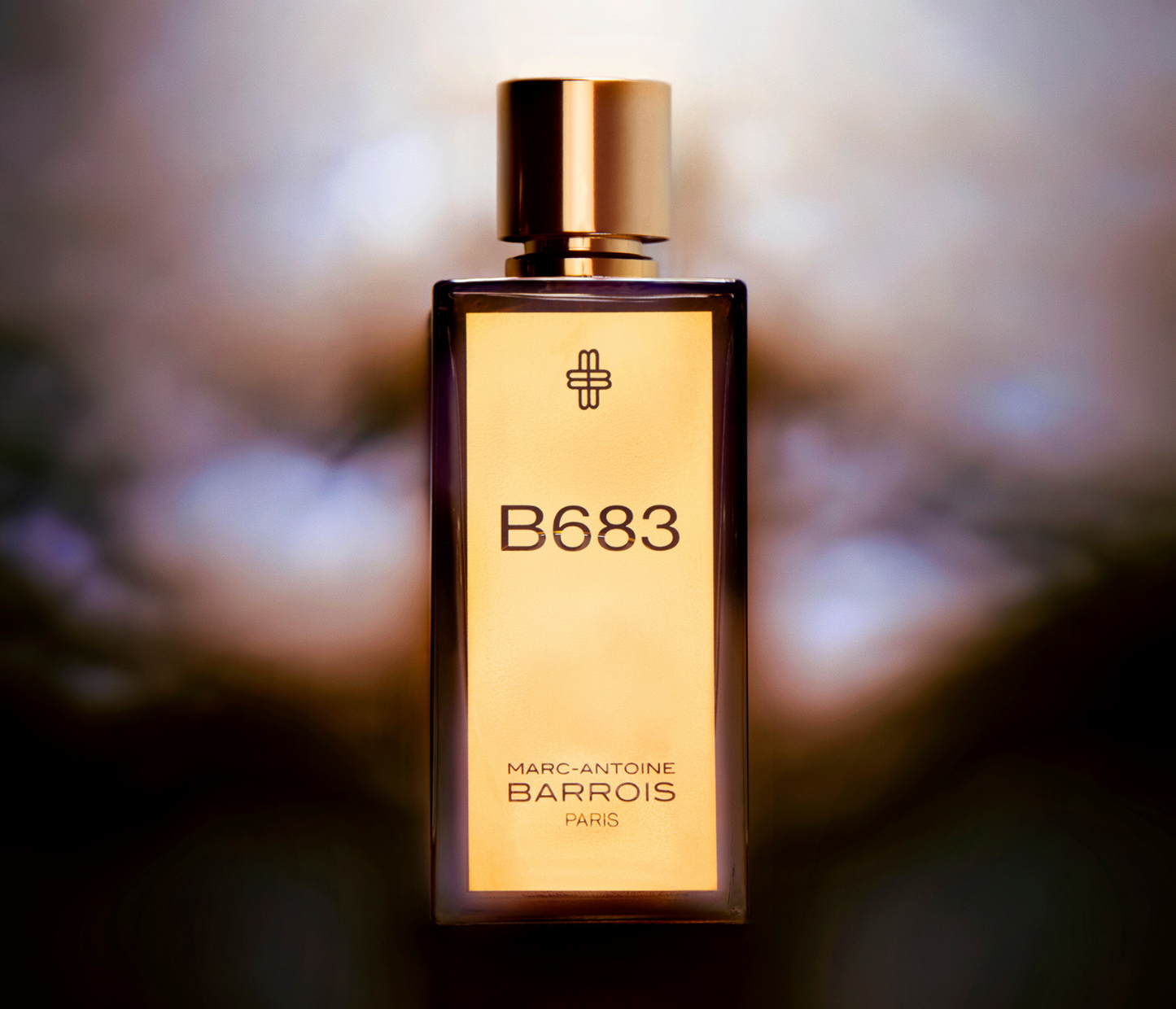 B683