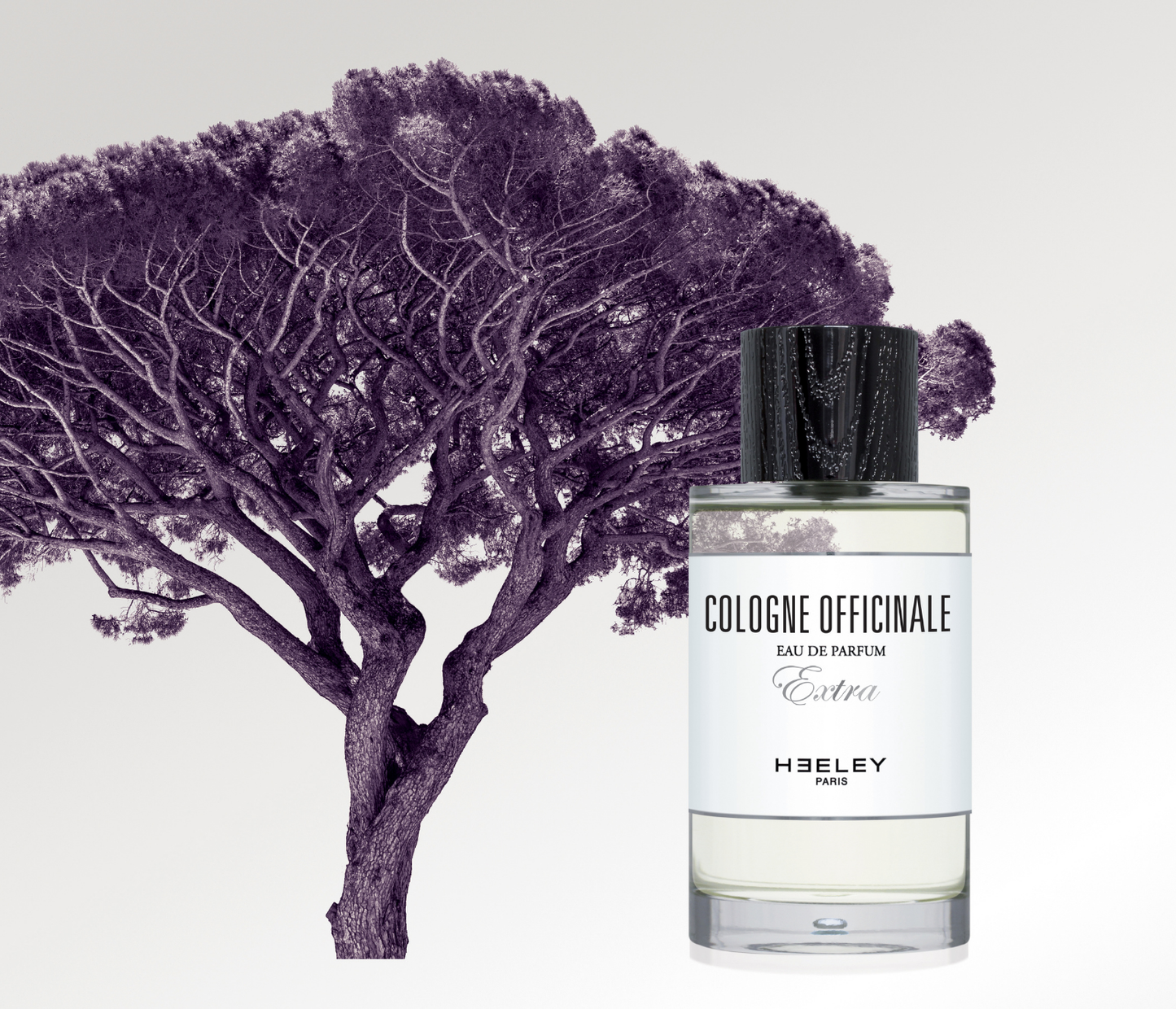 Cologne Officinale