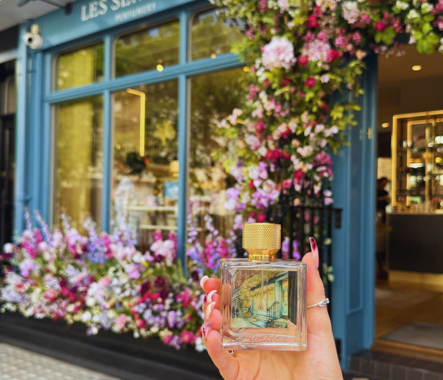 Belgravia Iris