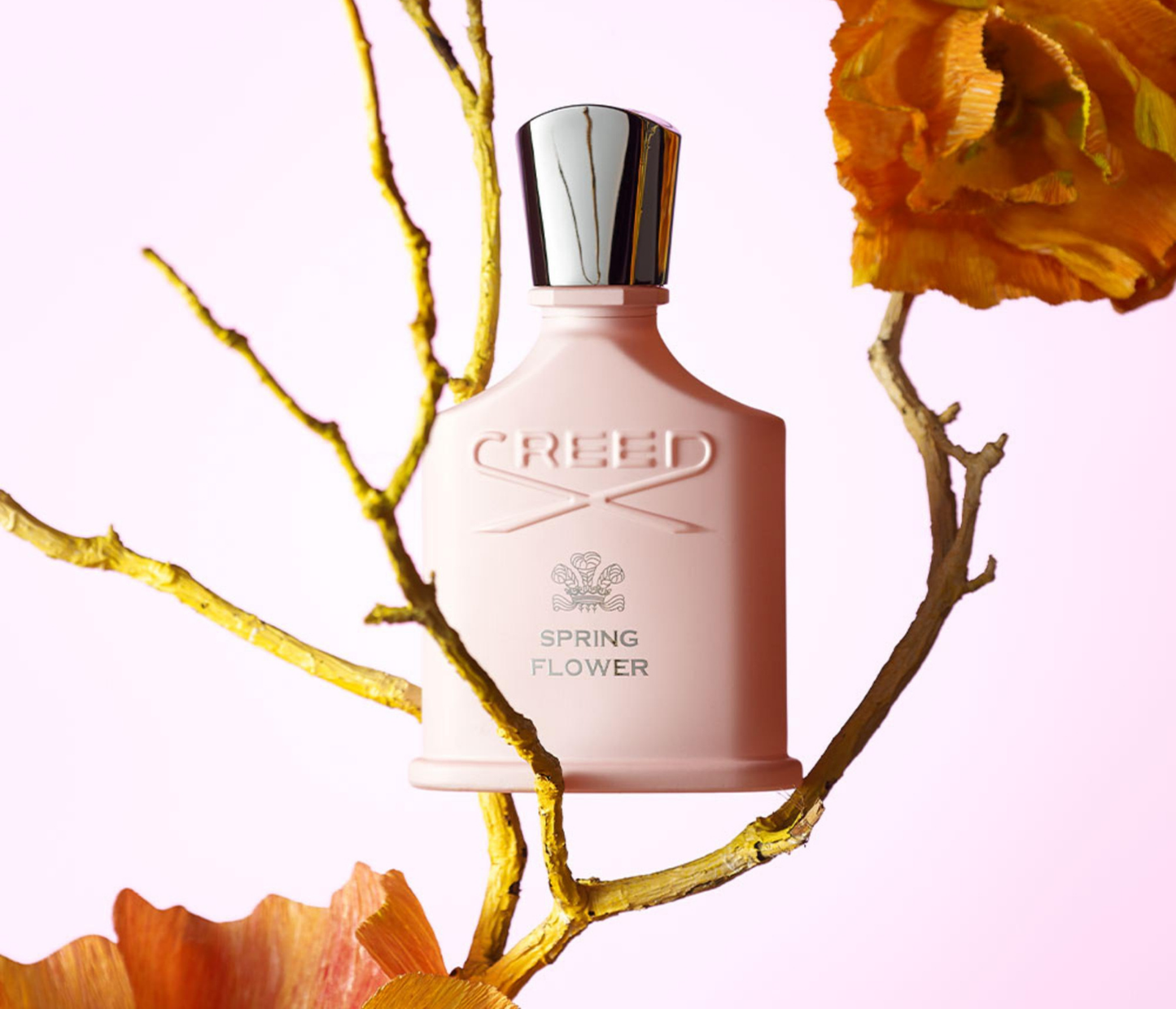 Spring Flower