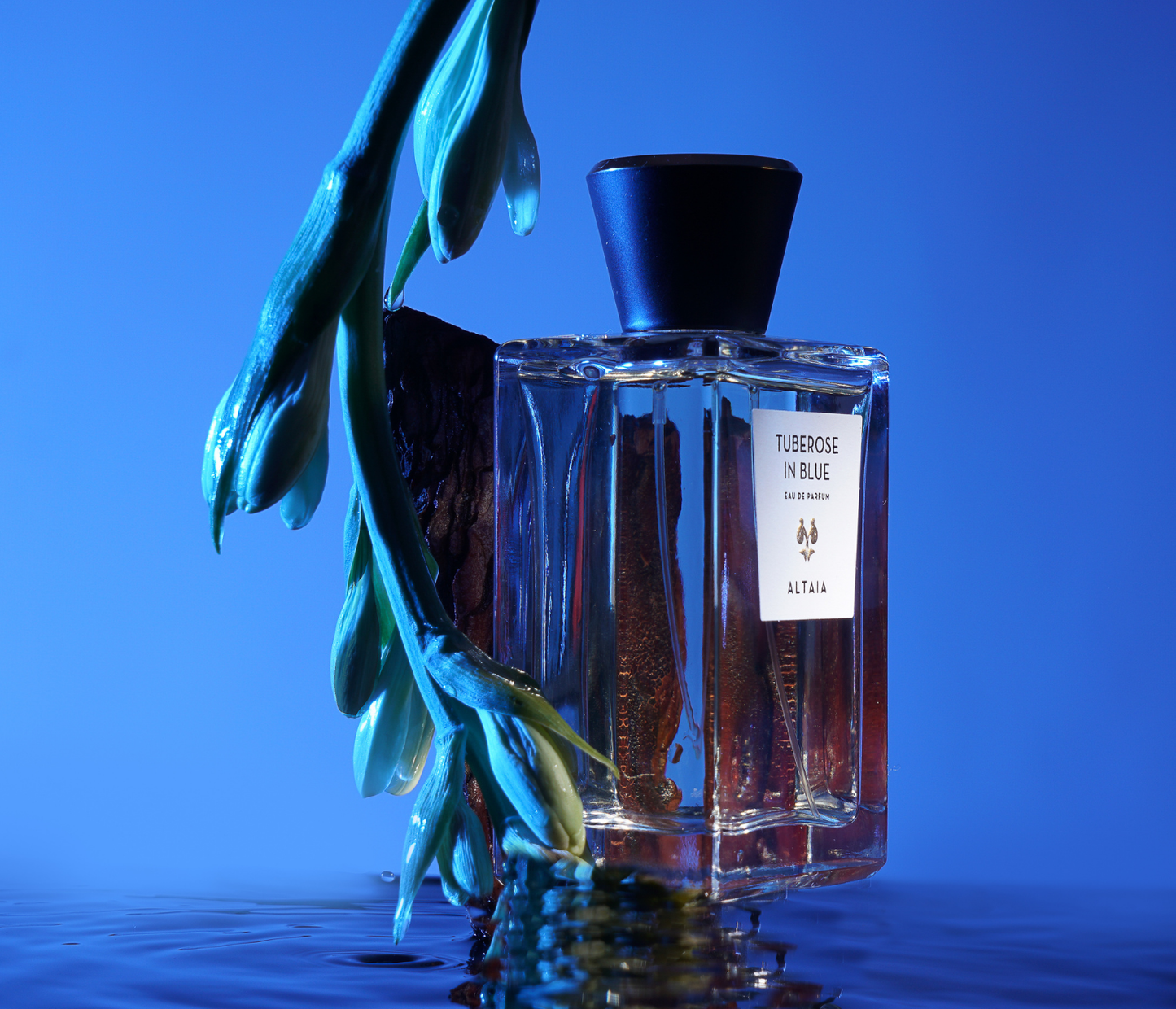 Tuberose in Blue
