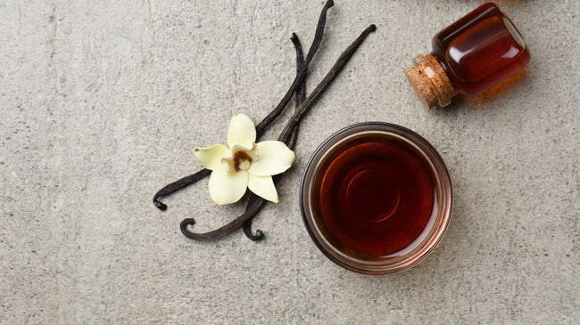 Our Top 12 Vanilla Fragrances