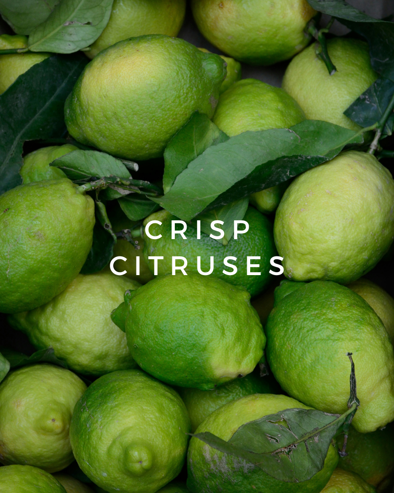 Citrus Fragrances for Men