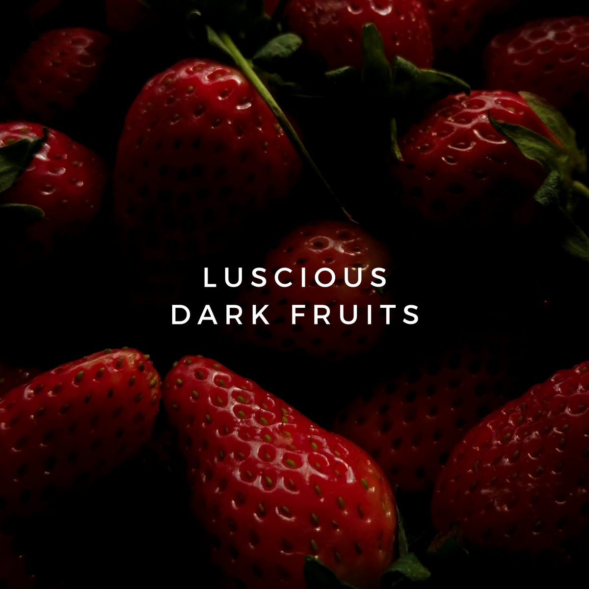 Decadent Cherries & Berries
