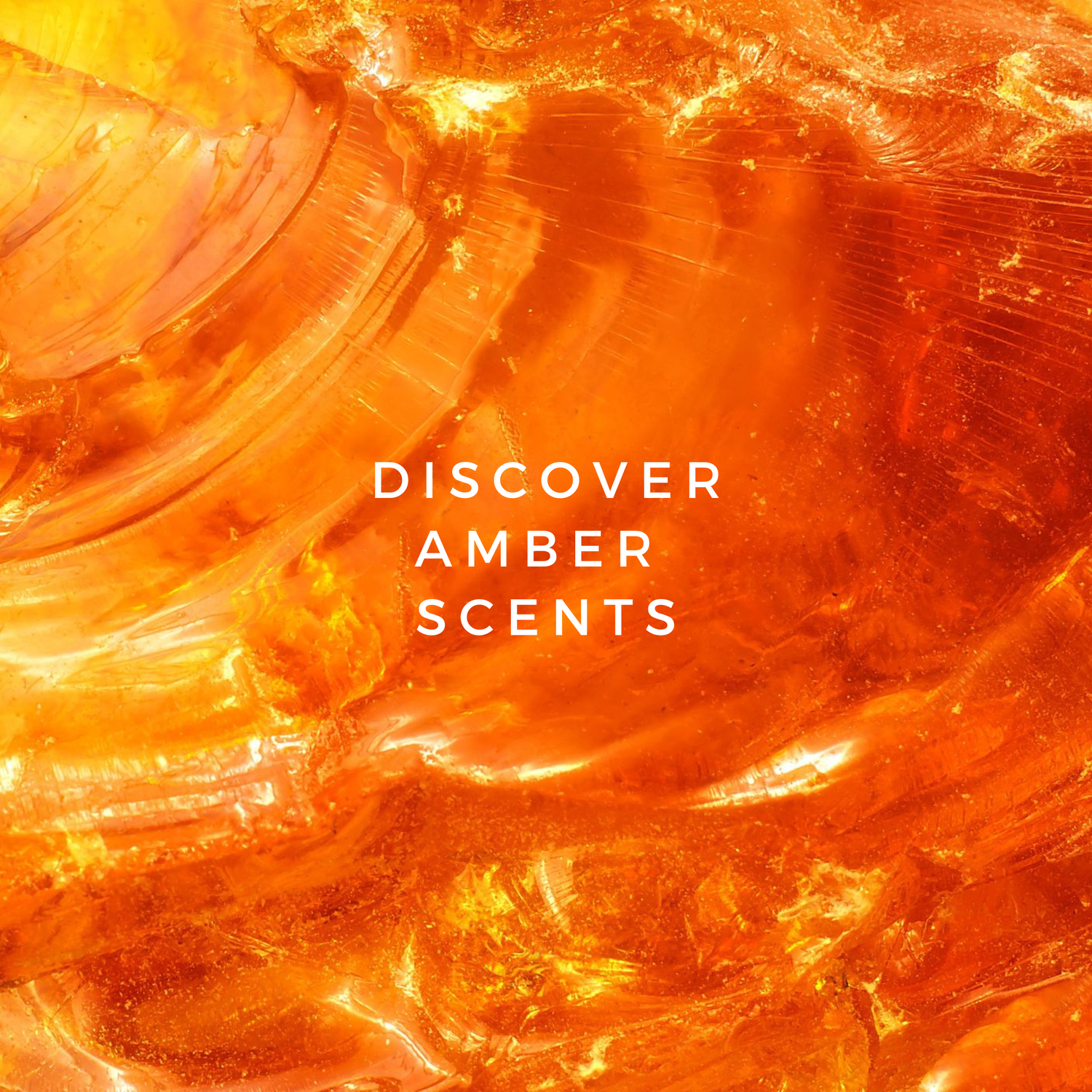 Amber Fragrances - Les Senteurs