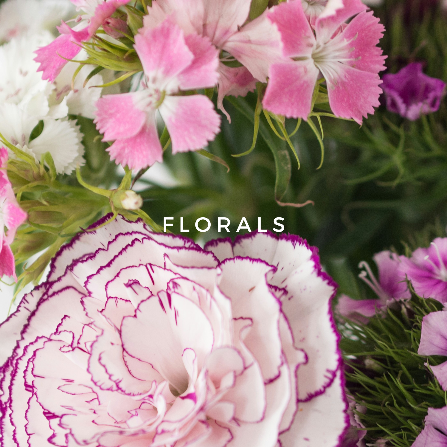 Floral