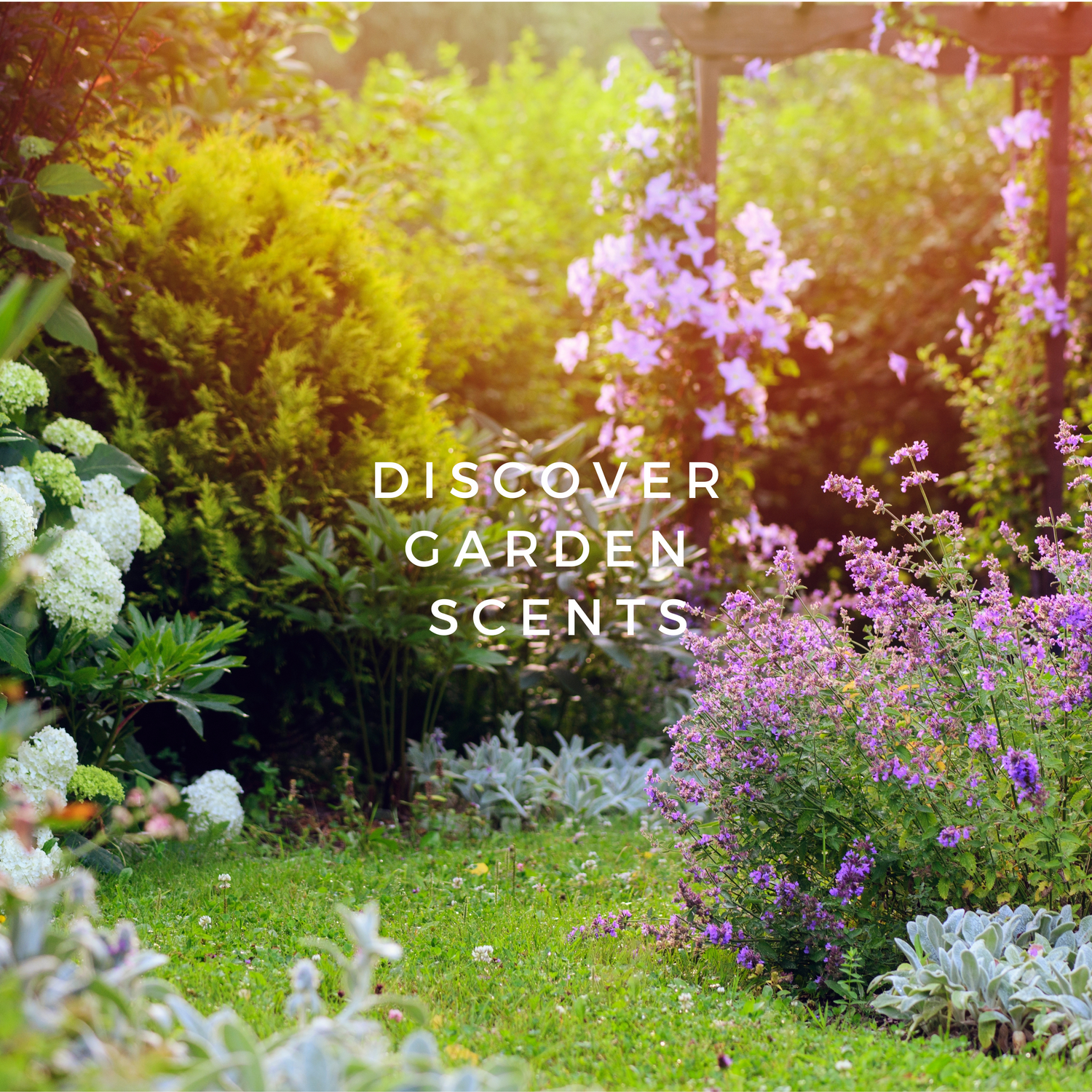 Garden Scents