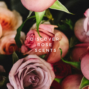 Rose Fragrances - Les Senteurs