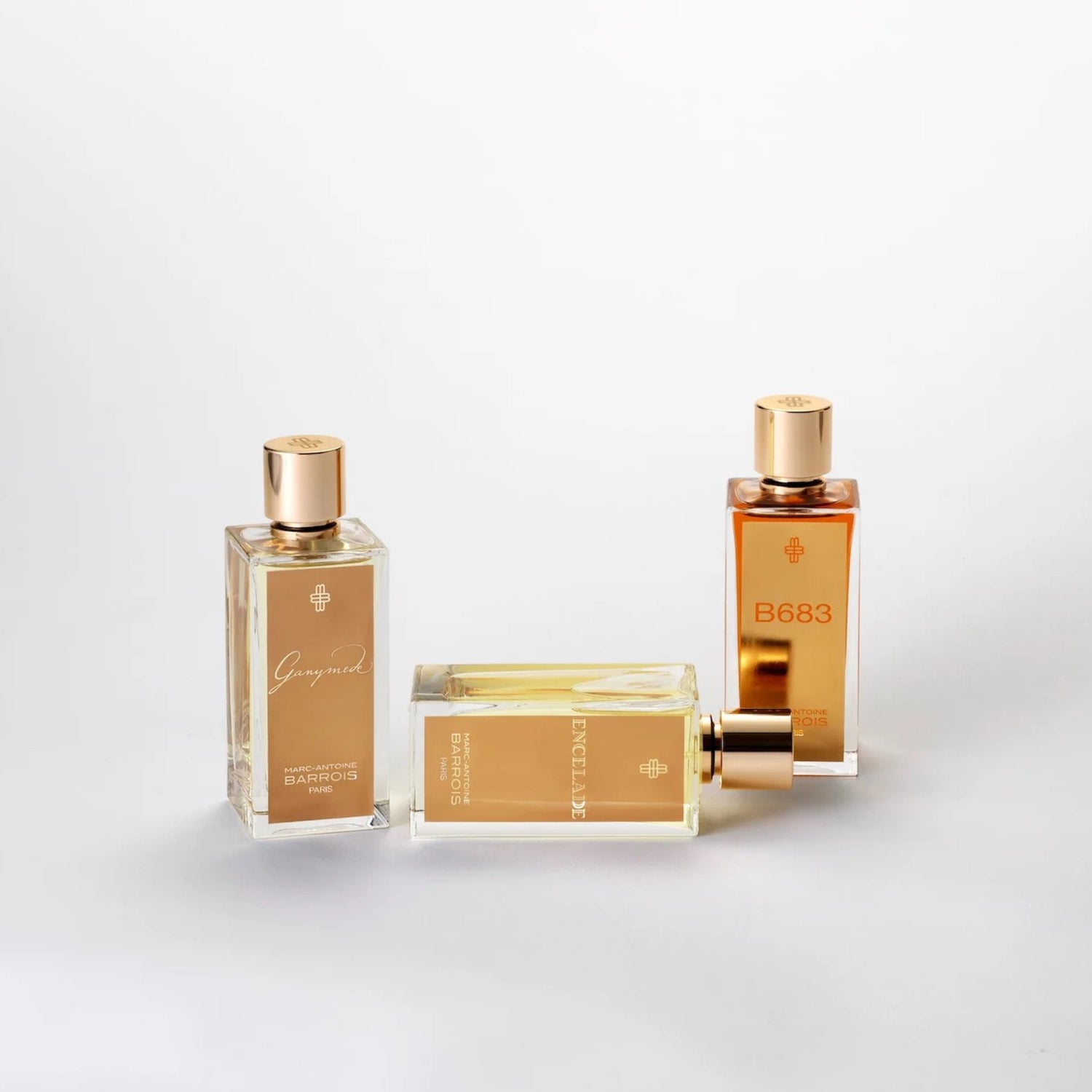Marc-Antoine Barrois Collection