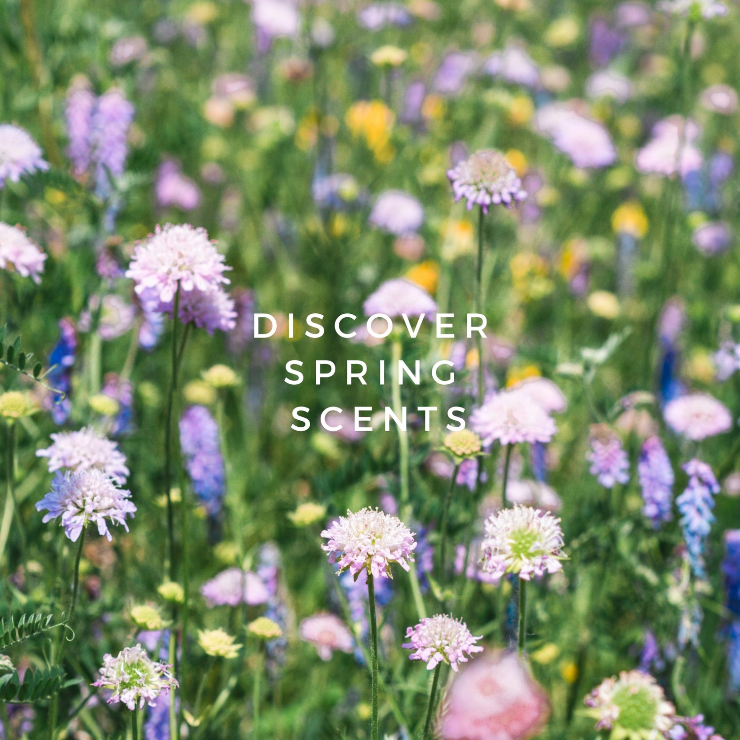 Scents for Springtime