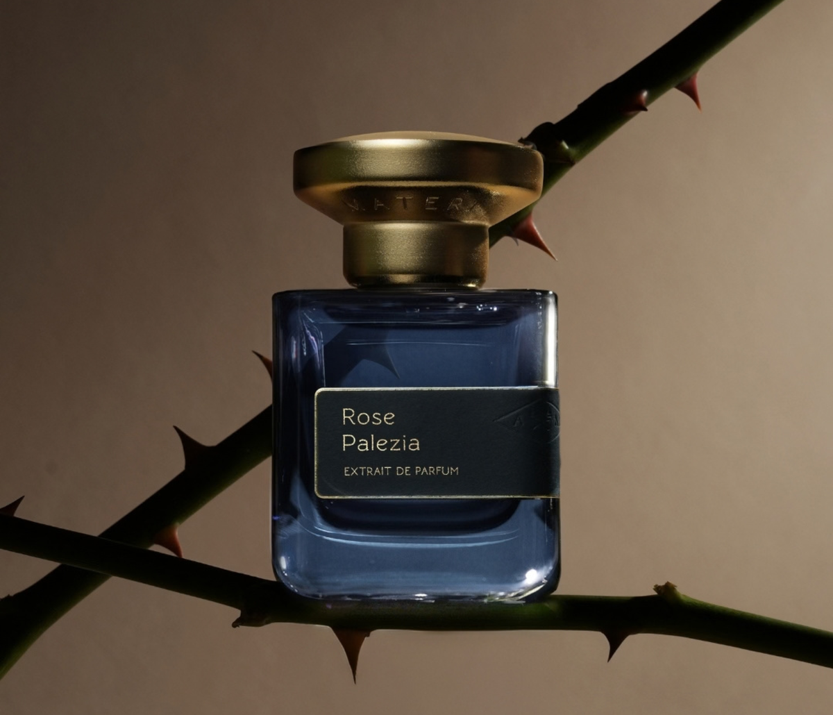 Rose Palezia
