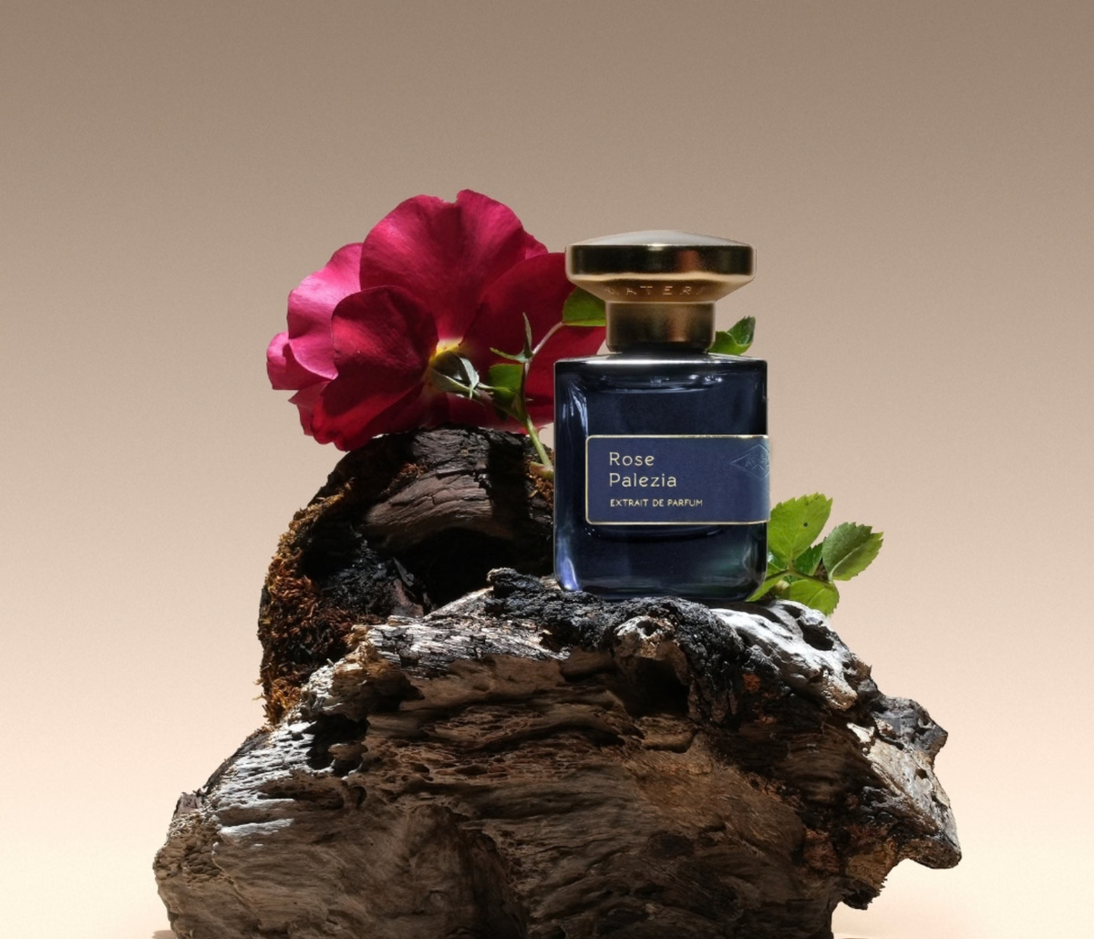 Rose Palezia