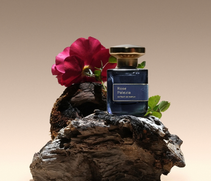 Rose Palezia