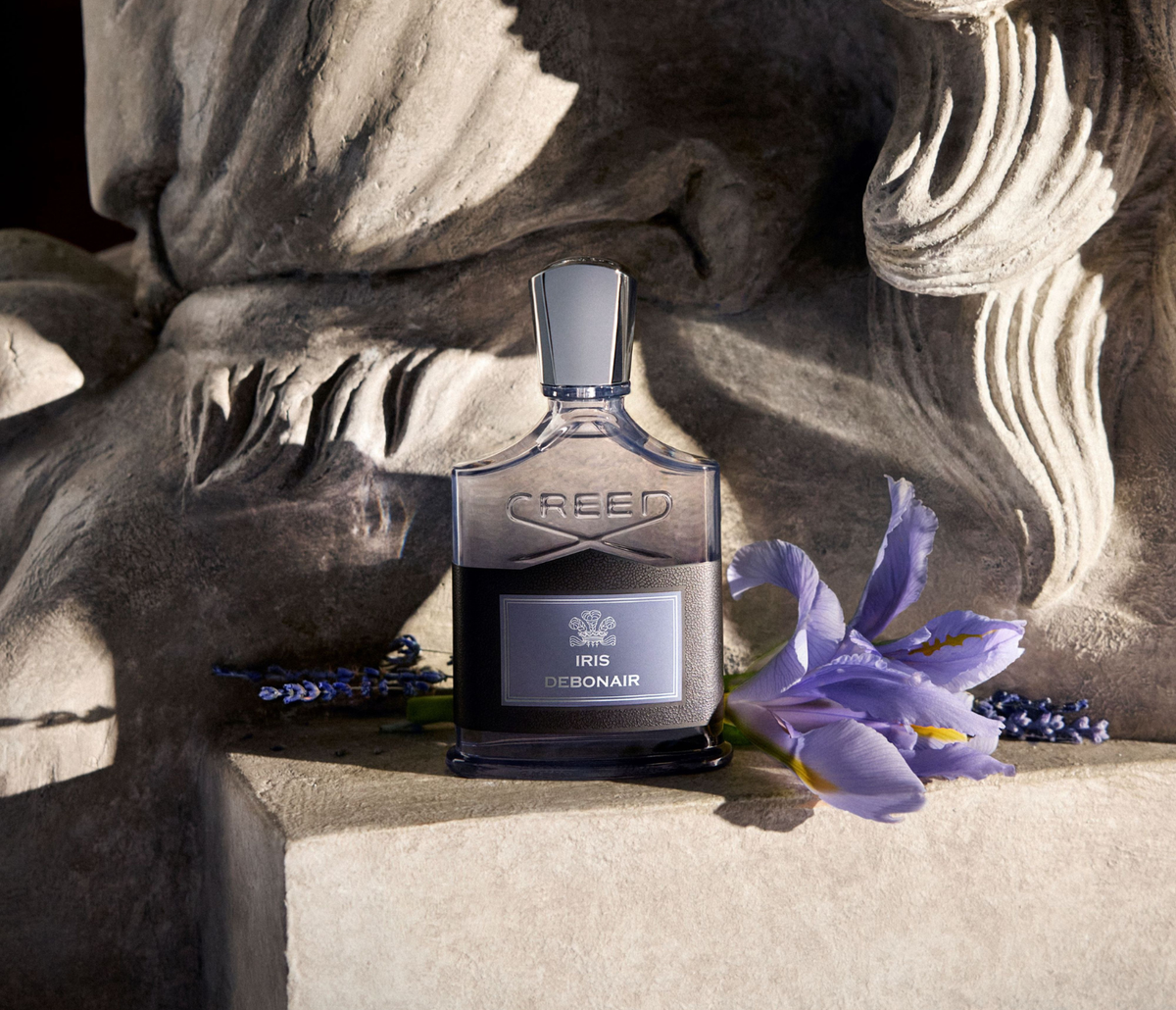 Iris Debonair