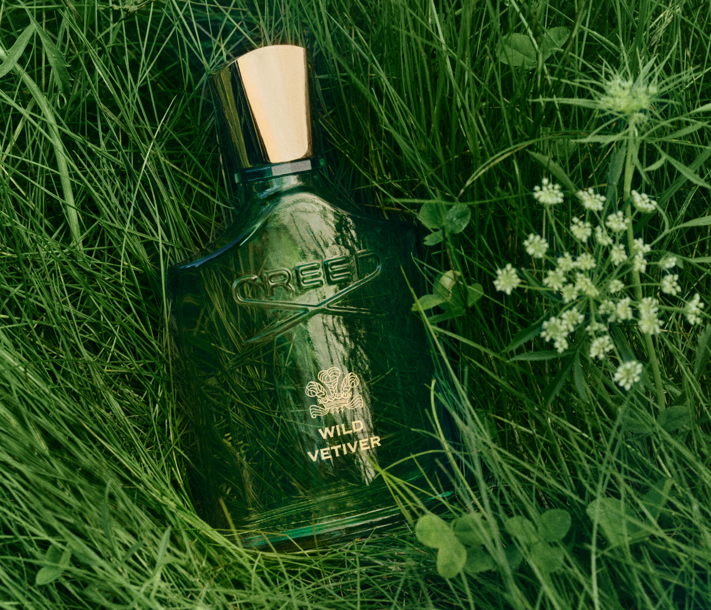 Wild Vetiver