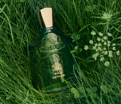 Wild Vetiver