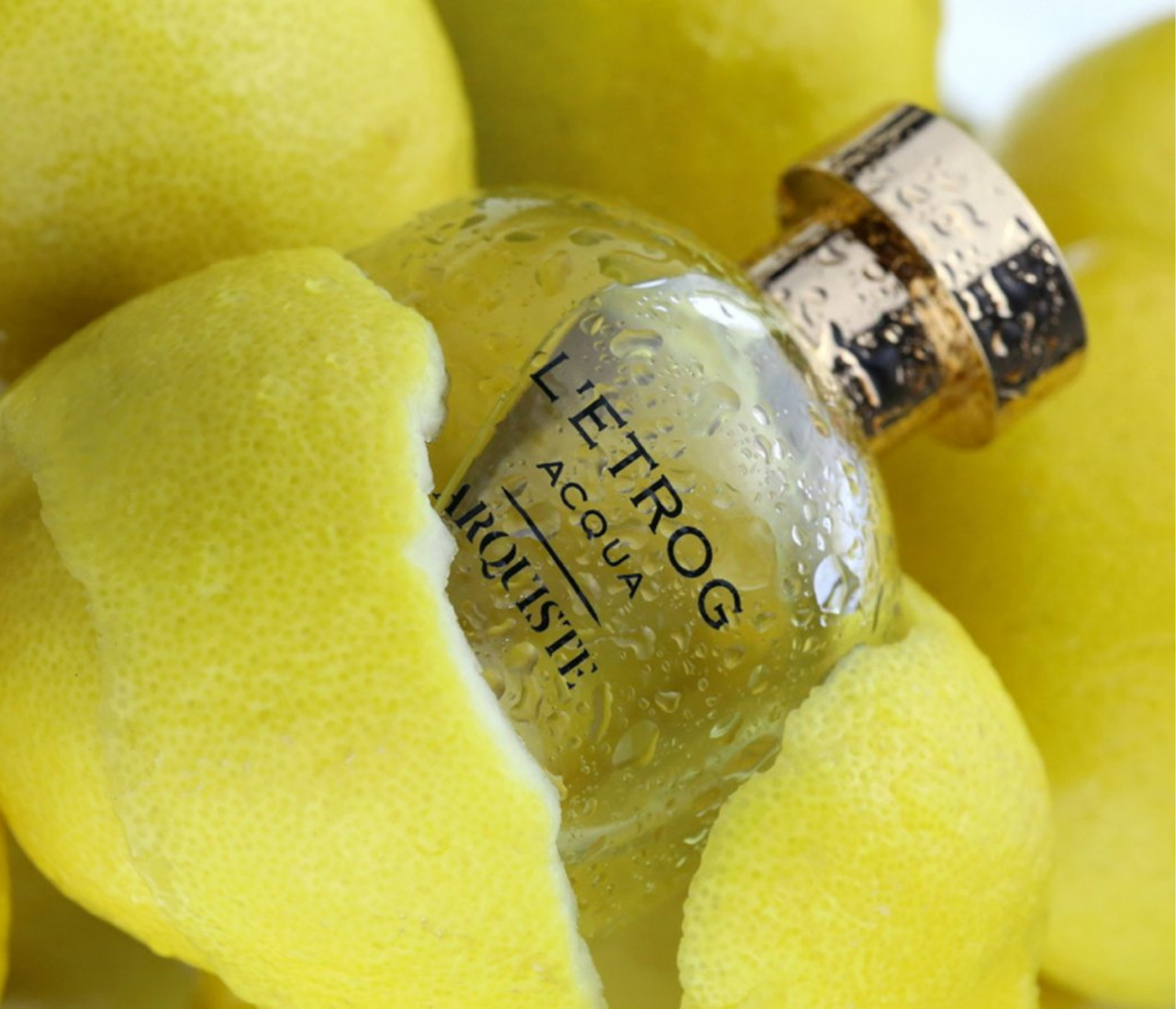 L'Etrog Acqua