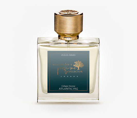 Atlantic Fig