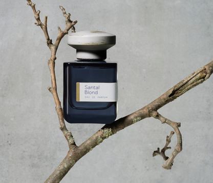 Santal Blond