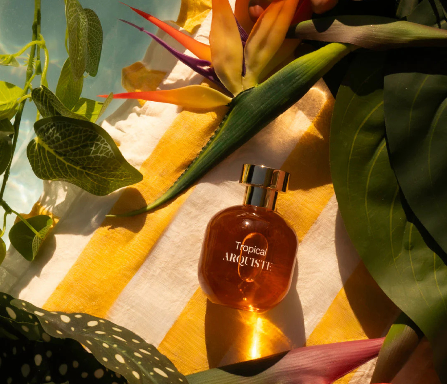 Arquiste - Tropical – Les Senteurs
